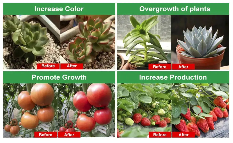 Grow Light 220V Full Spectrum LED Bar Light for Plants 50cm Phyto Lamp for Plant Veg Flowers Greenhouse Tent 4000K 380-780nm - Lootquake