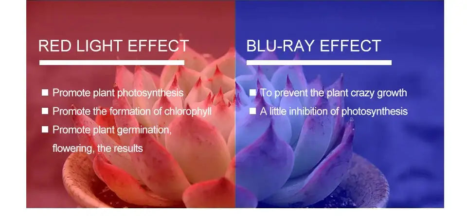 60/126/200 LED Grow Light Bulbs E27 Full Spectrum Grow Lamp Red Blue LED For Plants Indoor Hydro Flower Veg Grow Tent Phytolamp - Lootquake