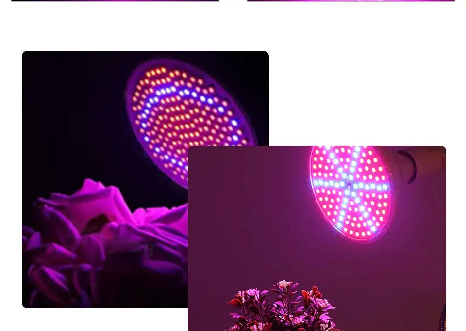 60/126/200 LED Grow Light Bulbs E27 Full Spectrum Grow Lamp Red Blue LED For Plants Indoor Hydro Flower Veg Grow Tent Phytolamp - Lootquake