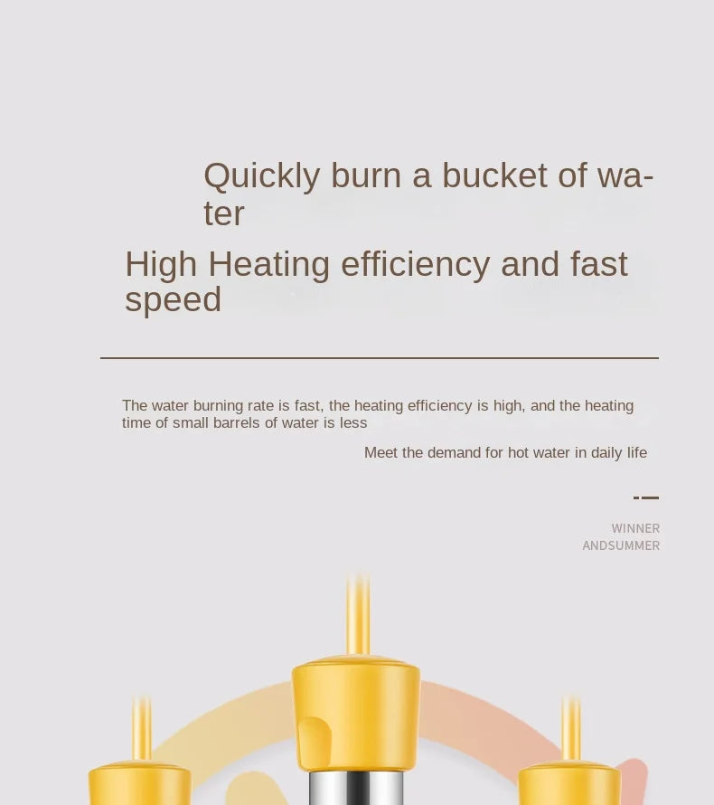 Chauffe-eau électrique portable 110 V/220 V, appareil de chauffage rapide