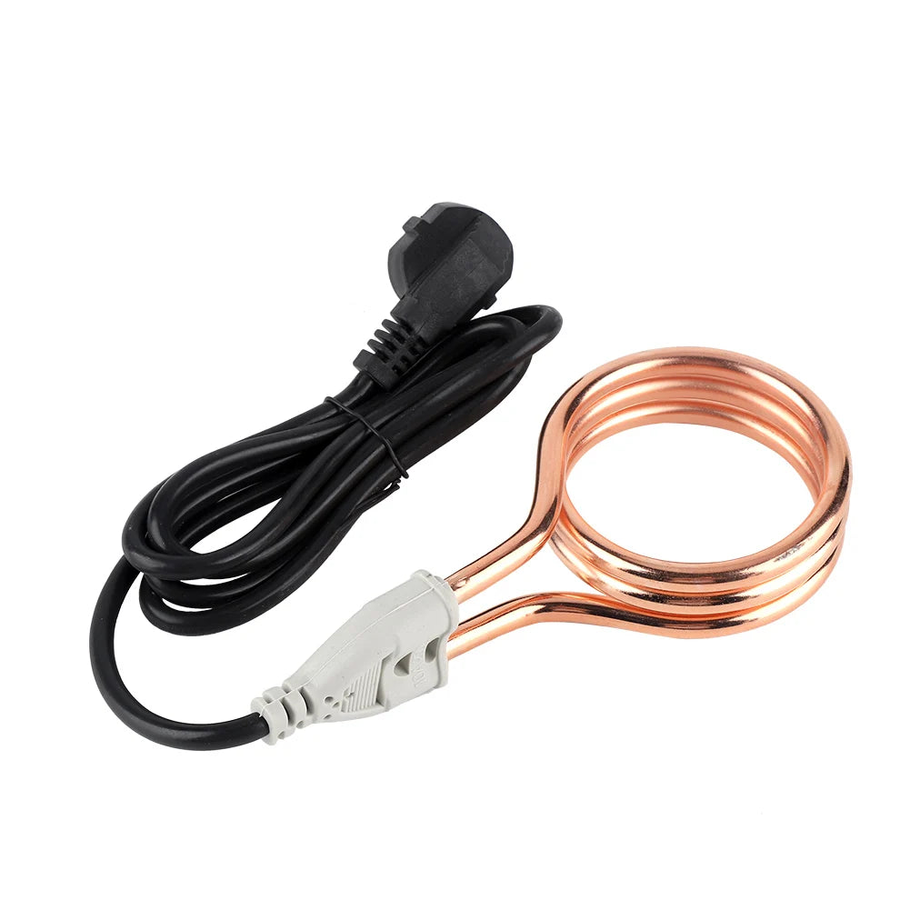 Chauffe-eau électrique à immersion 220 V 1 800 W, portable, pour la maison et les voyages