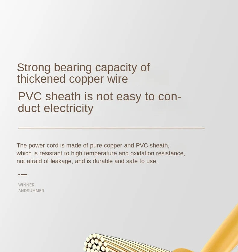 Chauffe-eau électrique portable 110 V/220 V, appareil de chauffage rapide