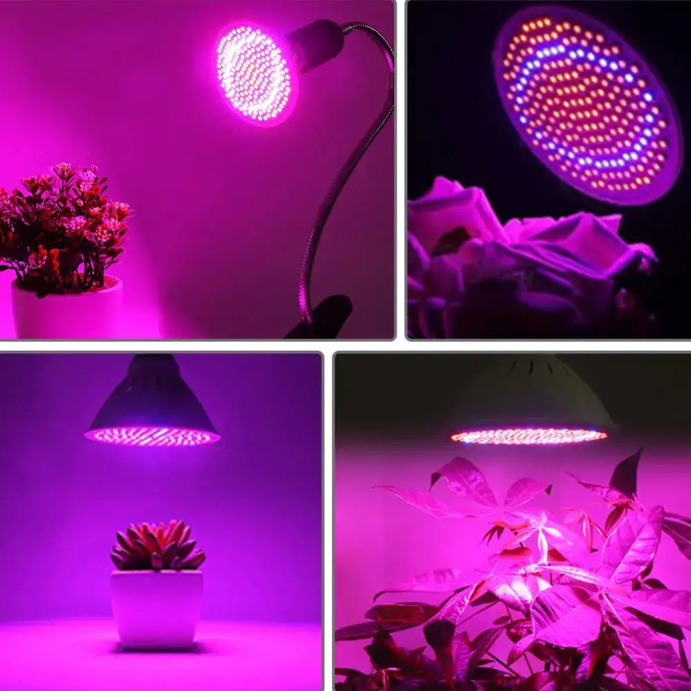 60/126/200 LED Grow Light Bulbs E27 Full Spectrum Grow Lamp Red Blue LED For Plants Indoor Hydro Flower Veg Grow Tent Phytolamp - Lootquake