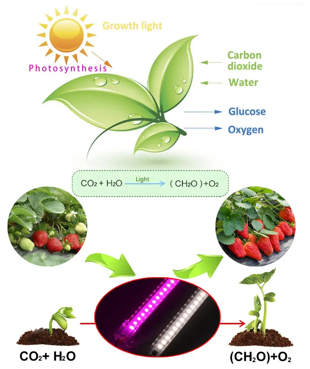 Grow Light 220V Full Spectrum LED Bar Light for Plants 50cm Phyto Lamp for Plant Veg Flowers Greenhouse Tent 4000K 380-780nm - Lootquake
