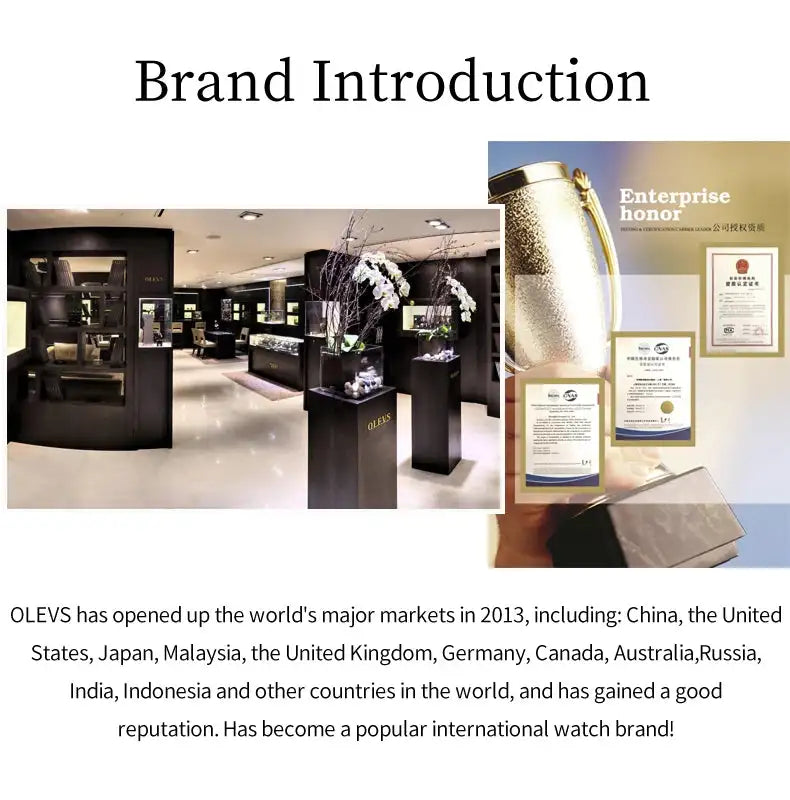 OLEVS Luxury Brand Quartz Watch for Women Stainless Steel Waterproof Ladies Wristwatch Fashion Diamond Dial Women's Watch New In - Lootquake