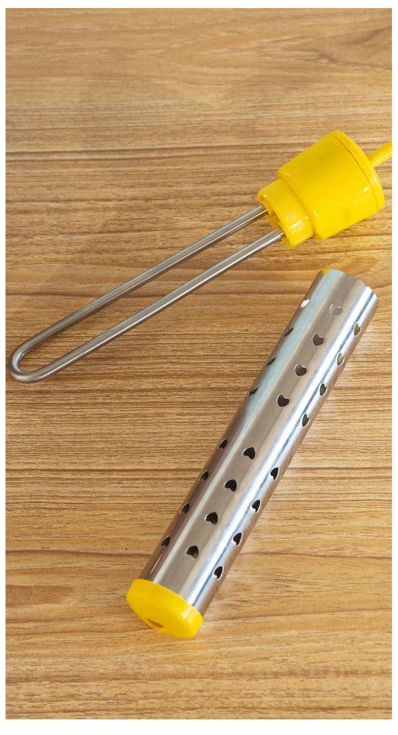 Chauffe-eau électrique portable 110 V/220 V, appareil de chauffage rapide