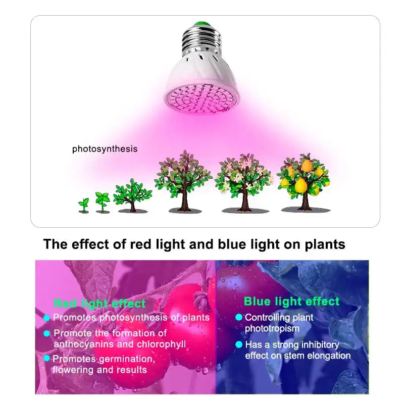 60/126/200 LED Grow Light Bulbs E27 Full Spectrum Grow Lamp Red Blue LED For Plants Indoor Hydro Flower Veg Grow Tent Phytolamp - Lootquake