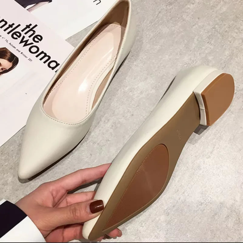 Woman Closed Back Snug Shoes Low Heels 2cm Null Pumps Pointy Toe Slip-On Red Black Beige Narrow Feet Seam Mocasines 34-43 25cm - Lootquake