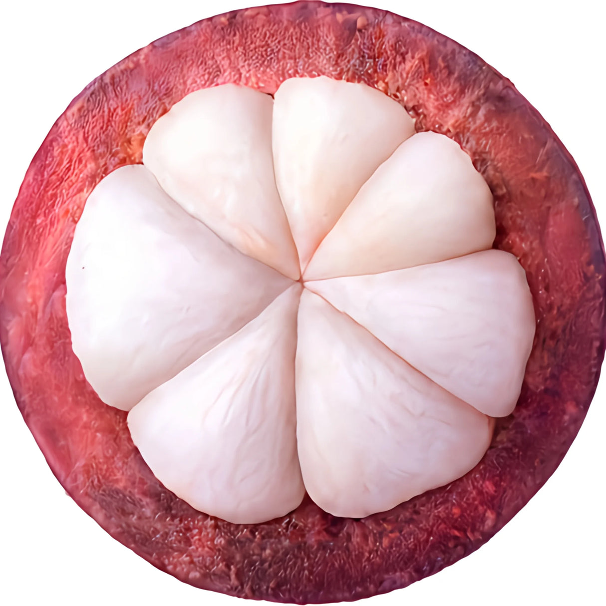 Fun Realistic Blanket for Kids and Adult, Tortilla, Pizza, Burrito, Bread, Cake, Giant Food Pattern, Tasty Flannel Throw