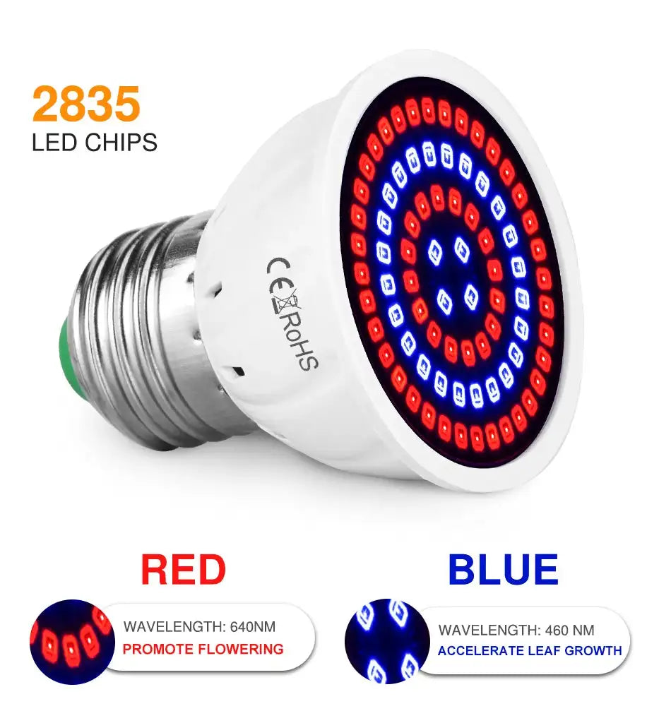 60/126/200 LED Grow Light Bulbs E27 Full Spectrum Grow Lamp Red Blue LED For Plants Indoor Hydro Flower Veg Grow Tent Phytolamp - Lootquake
