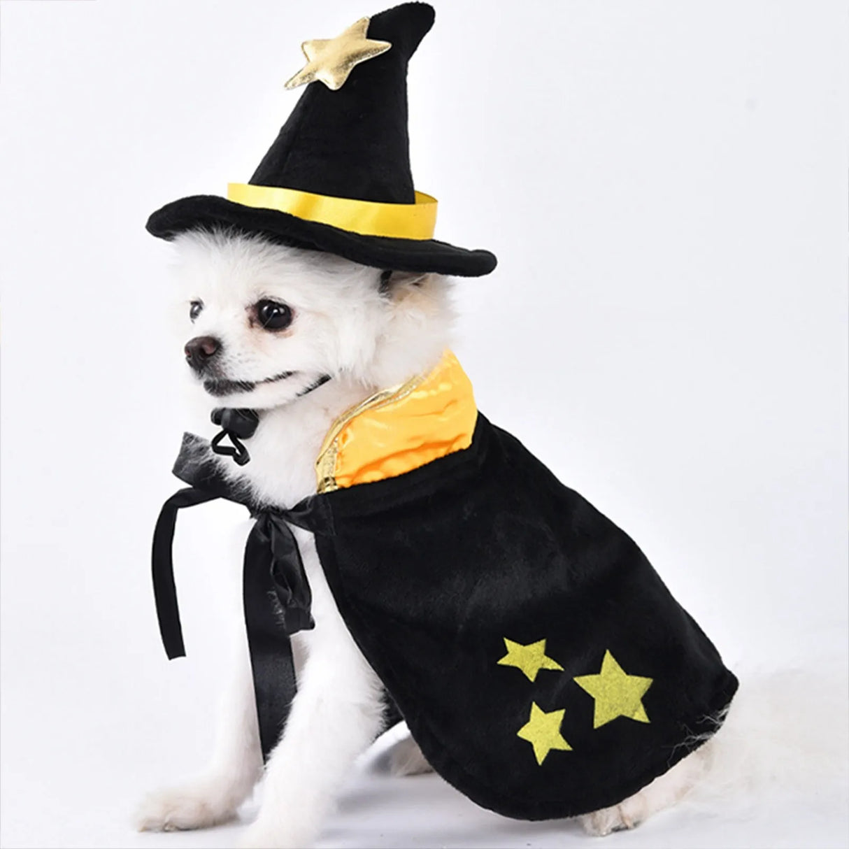 Dogs Cape Set with Hat