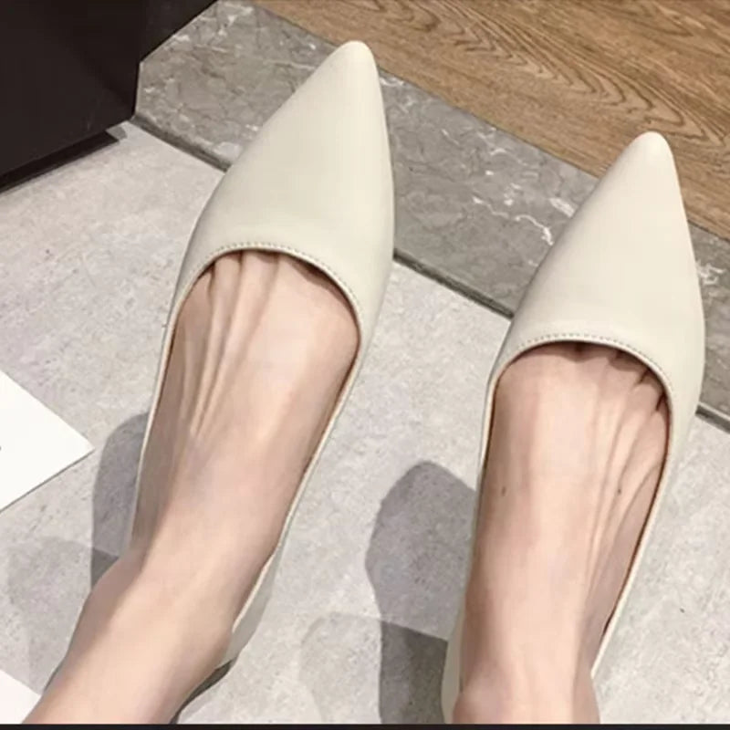 Woman Closed Back Snug Shoes Low Heels 2cm Null Pumps Pointy Toe Slip-On Red Black Beige Narrow Feet Seam Mocasines 34-43 25cm - Lootquake