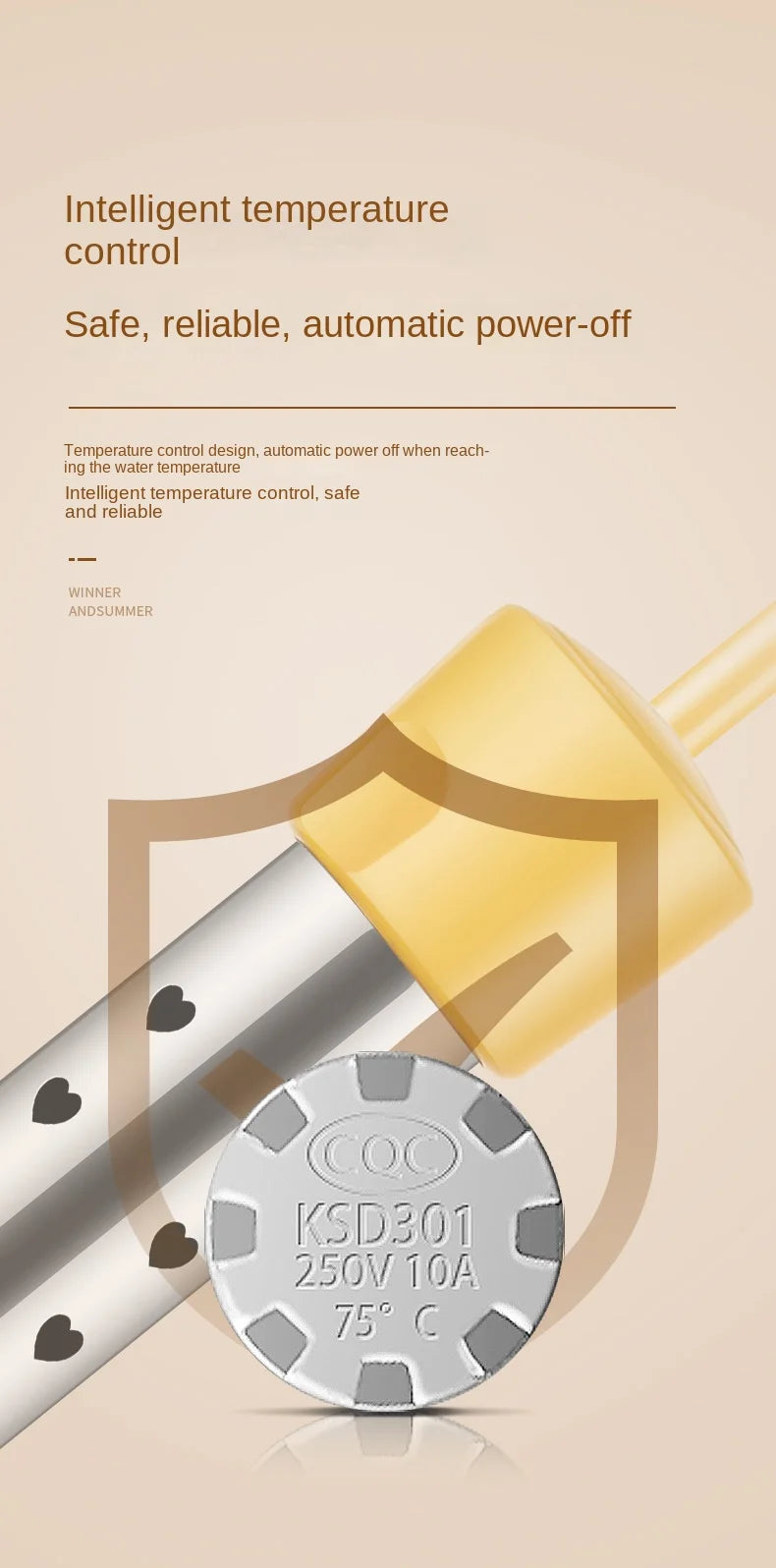 Chauffe-eau électrique portable 110 V/220 V, appareil de chauffage rapide