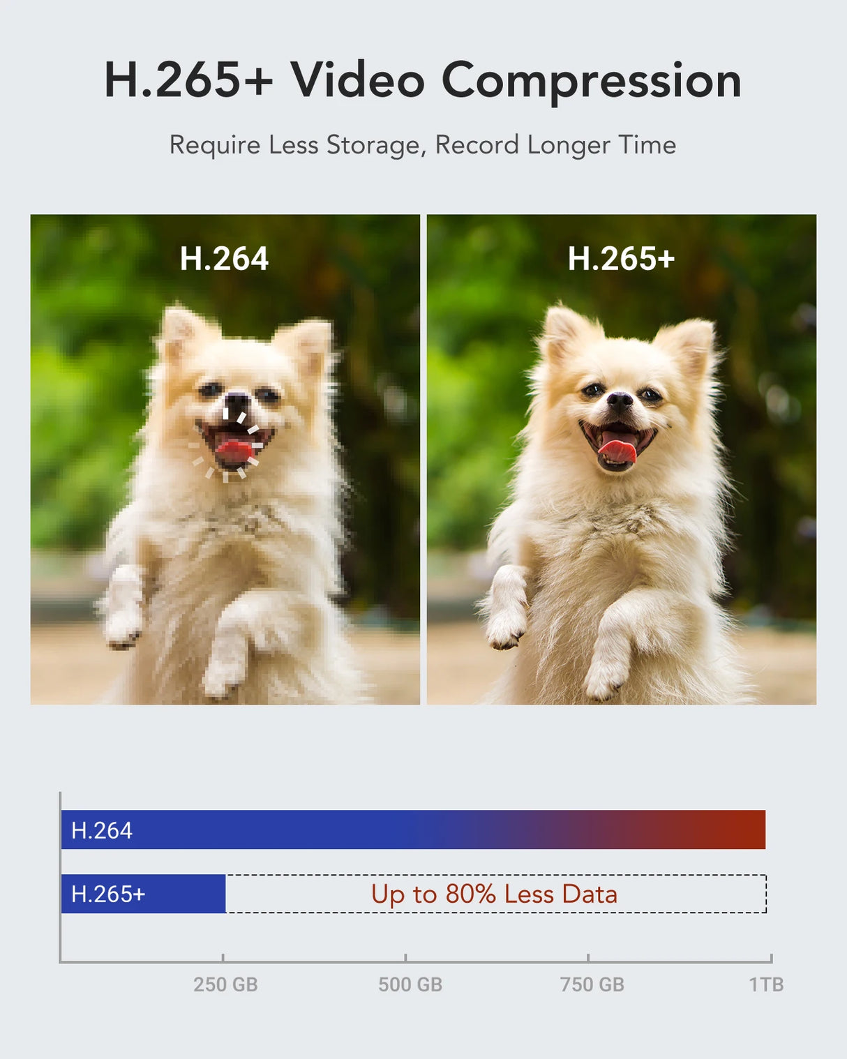 ANNK H.265+ 5MP Lite Ultra HD 8CH DVR Système de sécurité CCTV 8PCS Kit de surveillance vidéo extérieure 5MP EXIR Vision nocturne