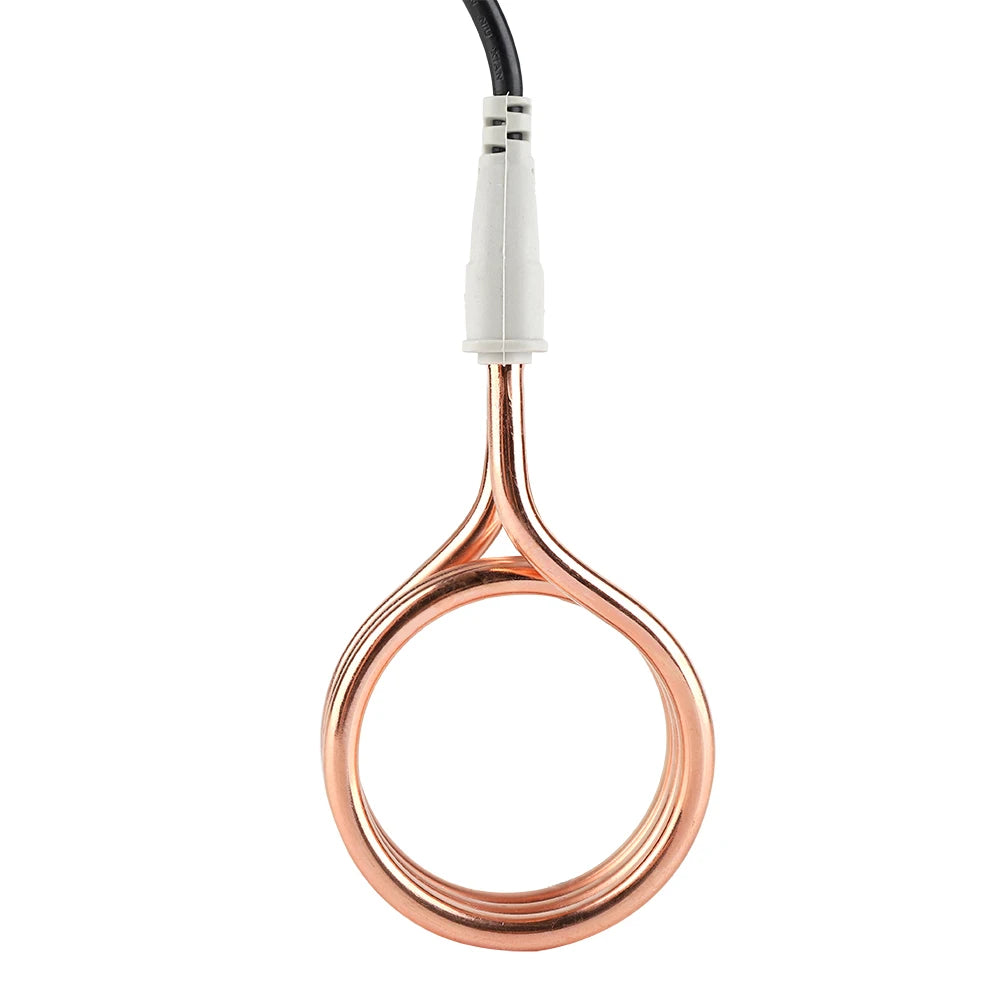 Chauffe-eau électrique à immersion 220 V 1 800 W, portable, pour la maison et les voyages