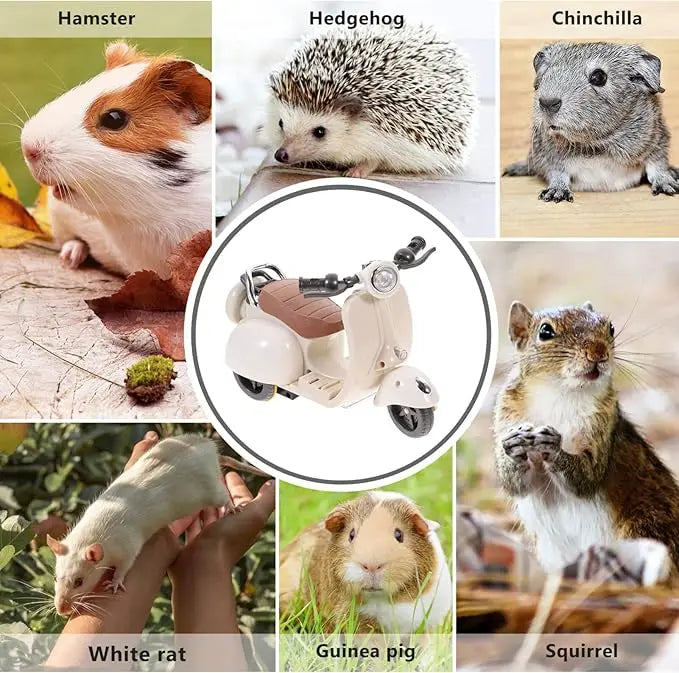 Mini moto électrique pour poupée Labubu, accessoires pour poupée Labubu, jouets amusants et mignons, avec lumières et musique, cadeau de Noël pour enfant à faire soi-même