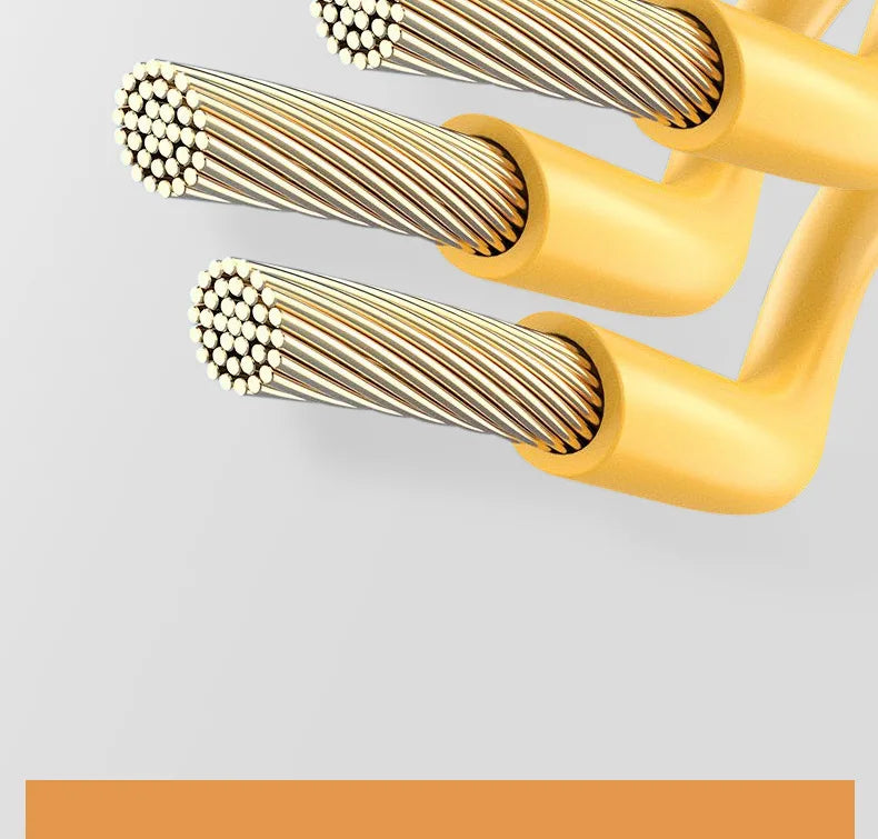 Chauffe-eau électrique portable 110 V/220 V, appareil de chauffage rapide