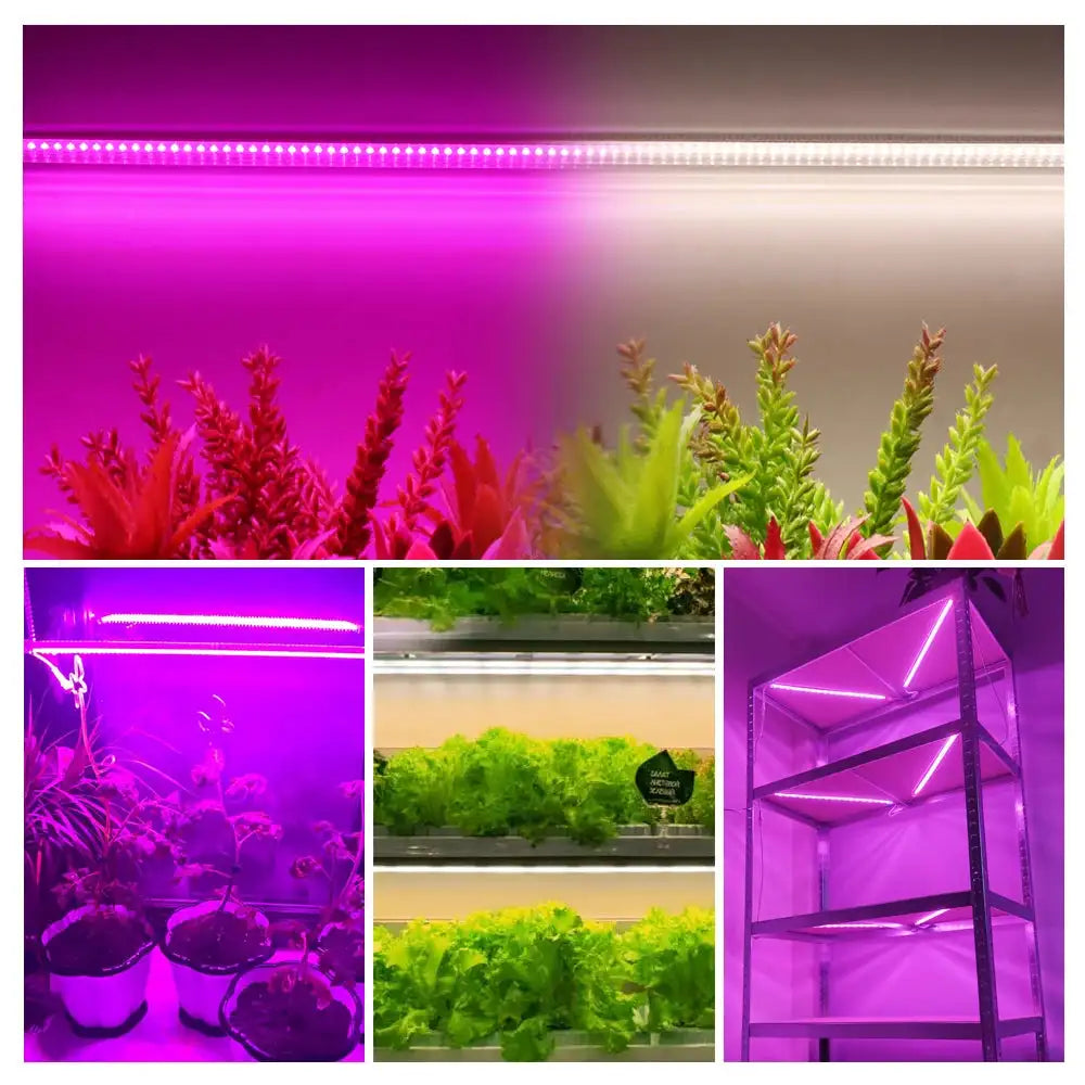 Grow Light 220V Full Spectrum LED Bar Light for Plants 50cm Phyto Lamp for Plant Veg Flowers Greenhouse Tent 4000K 380-780nm - Lootquake