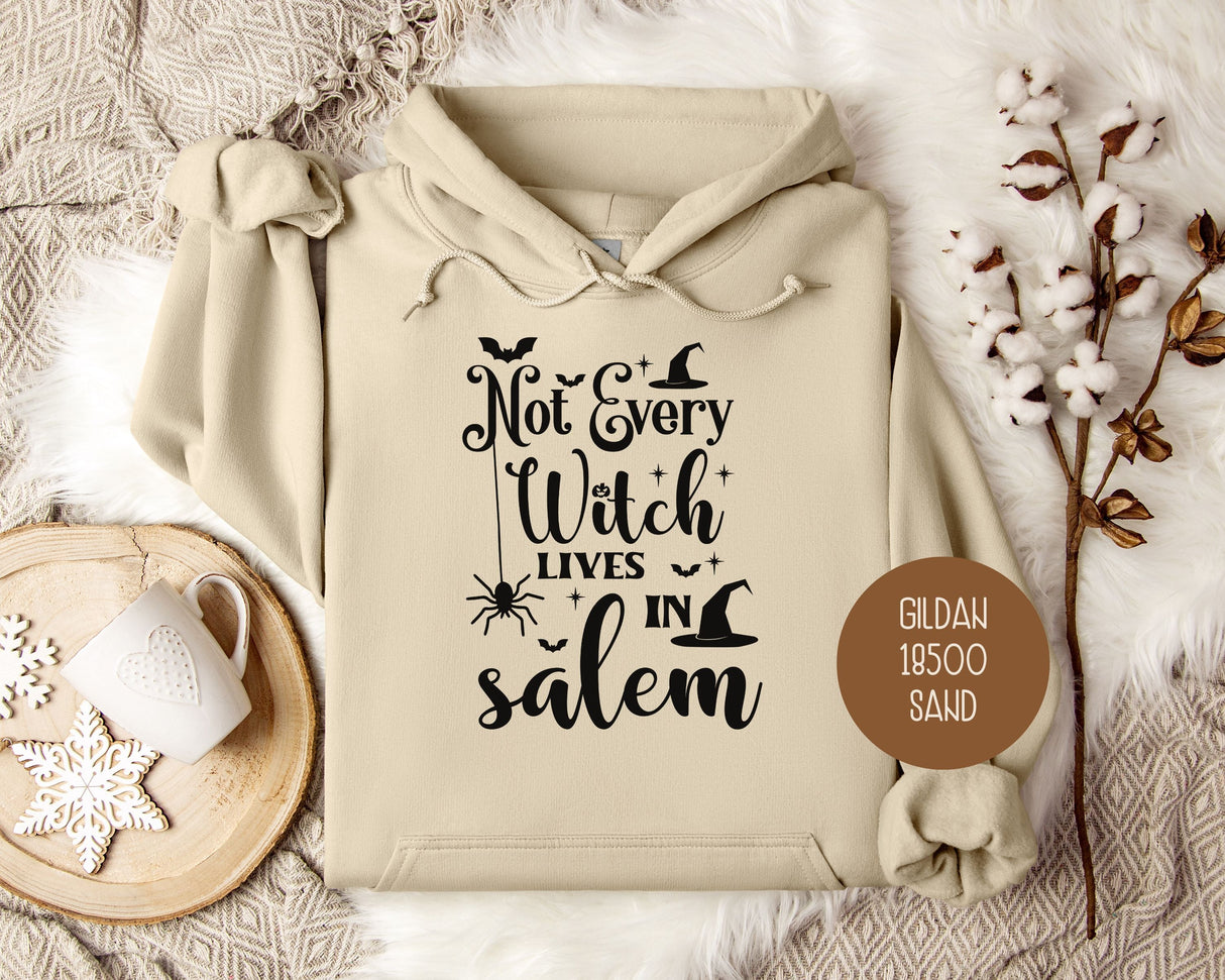Not Every Witch Lives in Salem Hoodie-0