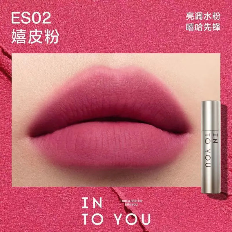 Rouge à lèvres mat INTOYOU, argile à lèvres longue tenue, brillant à lèvres velours waterproof, non fondant, non collant, maquillage expresso pour les lèvres