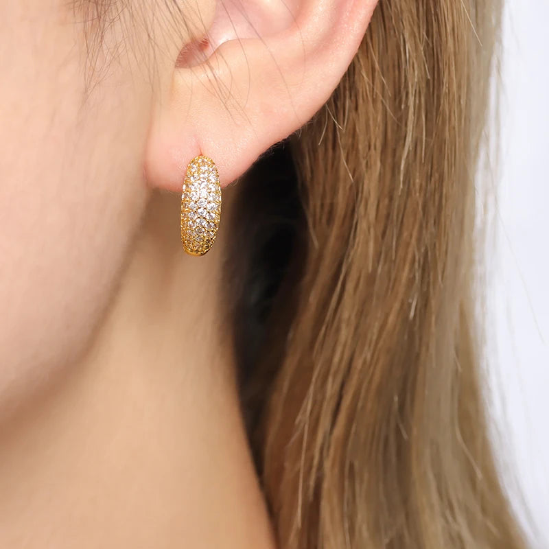 925 Sterling Silver Needle Micro-set Half Circle Zircon Hoop Ear Buckle Geometric Luxury Earrings Fashion Jewelry Gift Wholesale - Lootquake