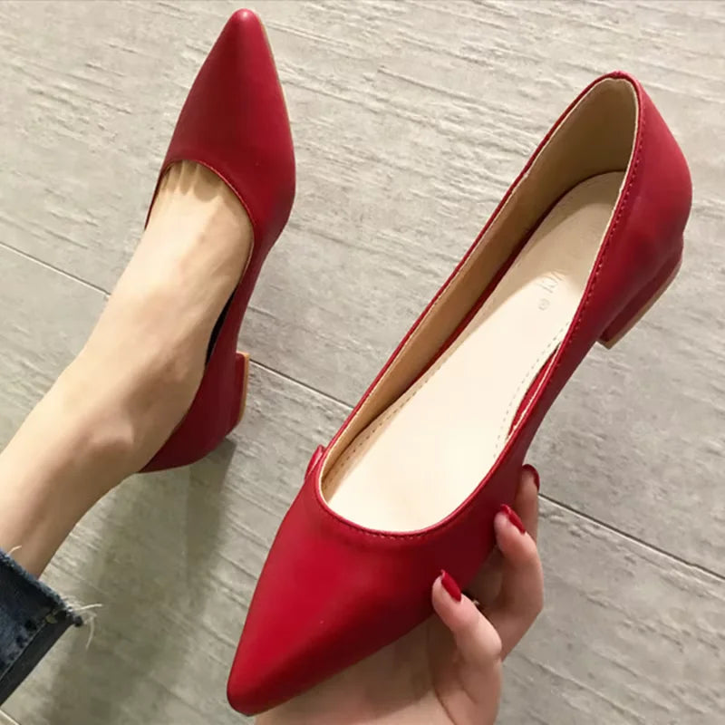 Woman Closed Back Snug Shoes Low Heels 2cm Null Pumps Pointy Toe Slip-On Red Black Beige Narrow Feet Seam Mocasines 34-43 25cm - Lootquake
