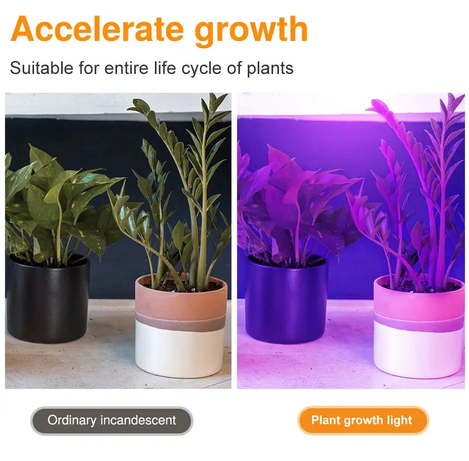 60/126/200 LED Grow Light Bulbs E27 Full Spectrum Grow Lamp Red Blue LED For Plants Indoor Hydro Flower Veg Grow Tent Phytolamp - Lootquake