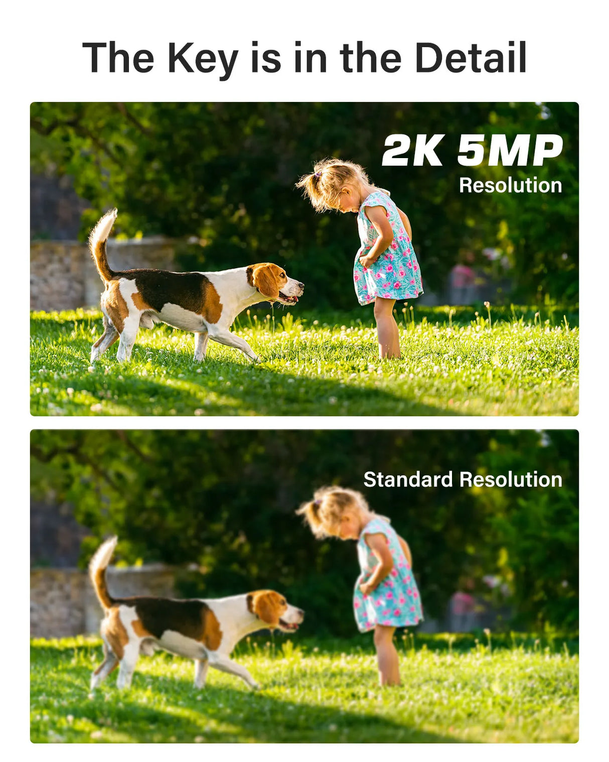 ANNK H.265+ 5MP Lite Ultra HD 8CH DVR Système de sécurité CCTV 8PCS Kit de surveillance vidéo extérieure 5MP EXIR Vision nocturne