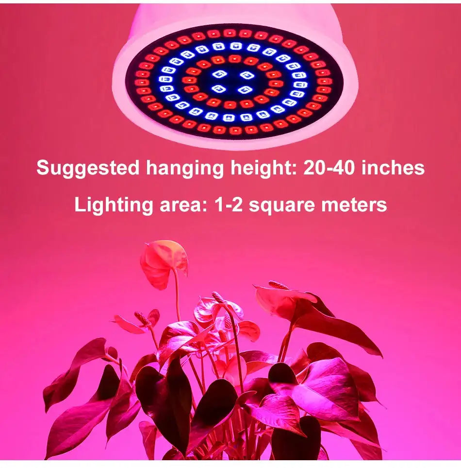60/126/200 LED Grow Light Bulbs E27 Full Spectrum Grow Lamp Red Blue LED For Plants Indoor Hydro Flower Veg Grow Tent Phytolamp - Lootquake