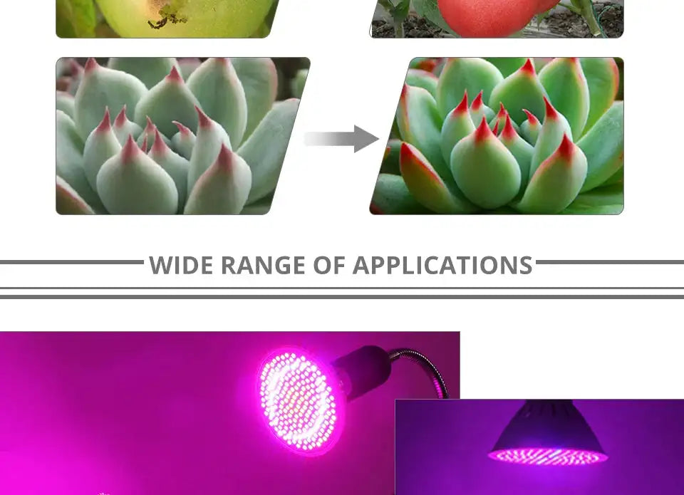 60/126/200 LED Grow Light Bulbs E27 Full Spectrum Grow Lamp Red Blue LED For Plants Indoor Hydro Flower Veg Grow Tent Phytolamp - Lootquake
