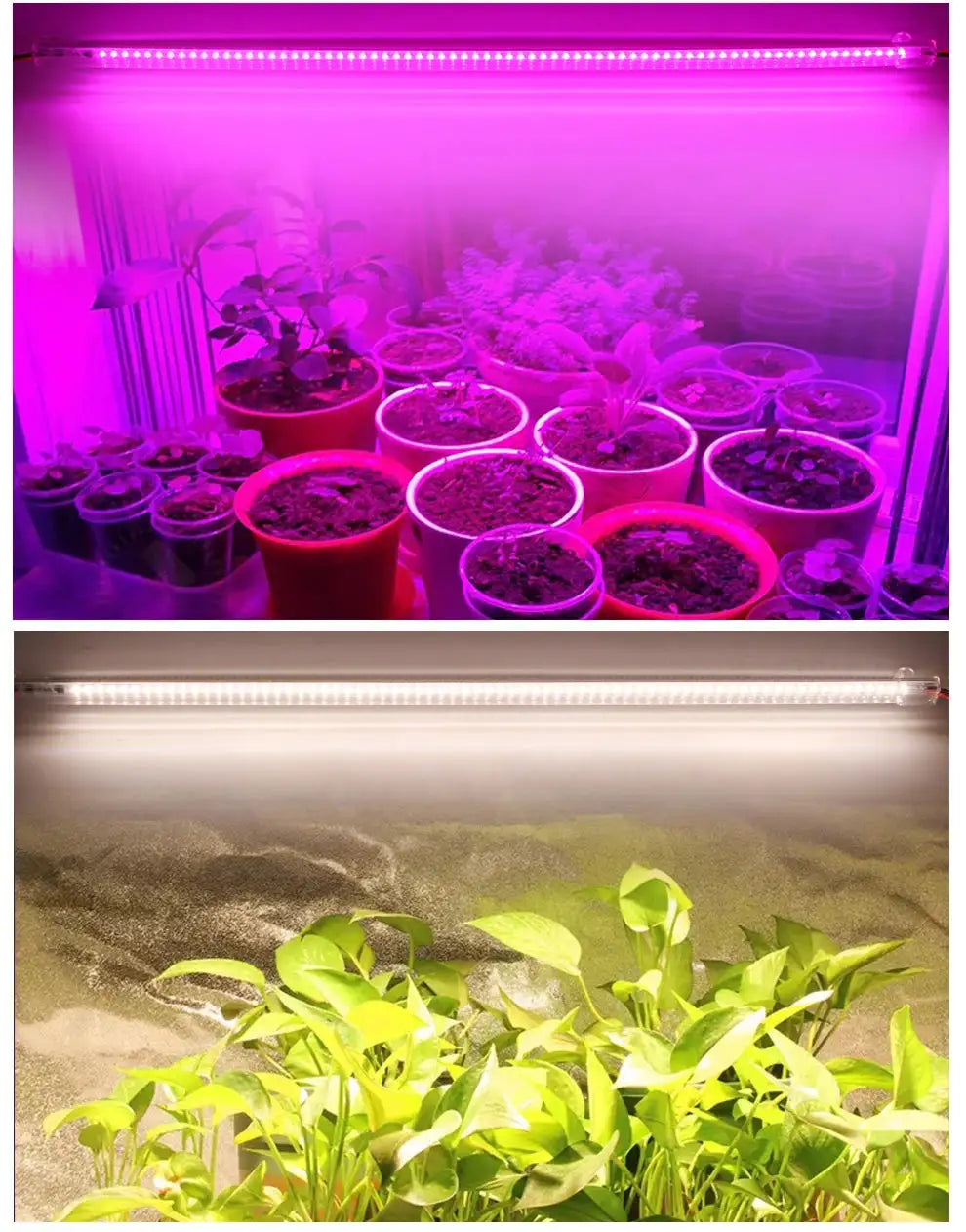 Grow Light 220V Full Spectrum LED Bar Light for Plants 50cm Phyto Lamp for Plant Veg Flowers Greenhouse Tent 4000K 380-780nm - Lootquake