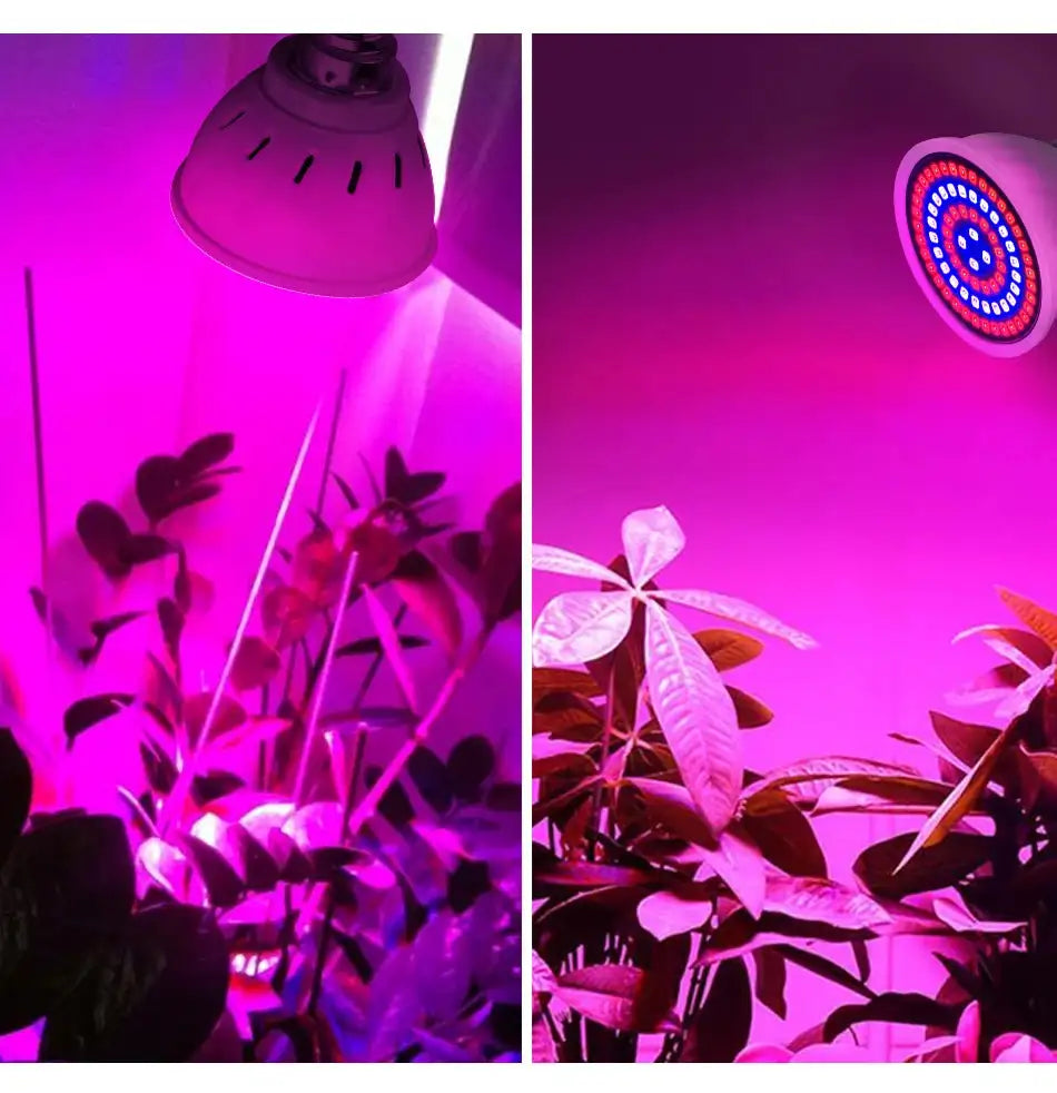 60/126/200 LED Grow Light Bulbs E27 Full Spectrum Grow Lamp Red Blue LED For Plants Indoor Hydro Flower Veg Grow Tent Phytolamp - Lootquake