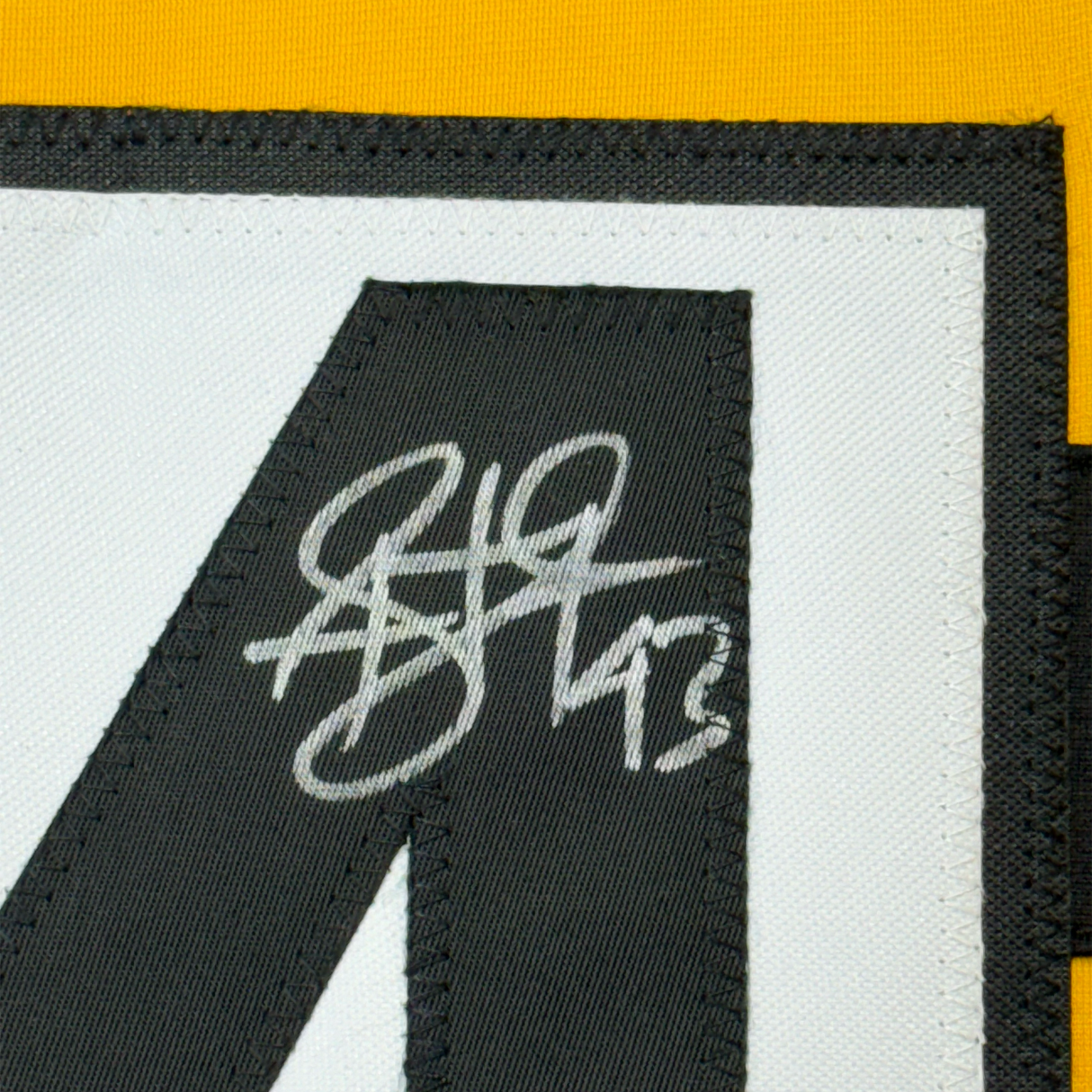 Camiseta de fútbol americano Pittsburgh Bumble Bee de Troy Polamalu, enmarcada, autografiada y firmada, 35 x 39, Beckett BAS COA