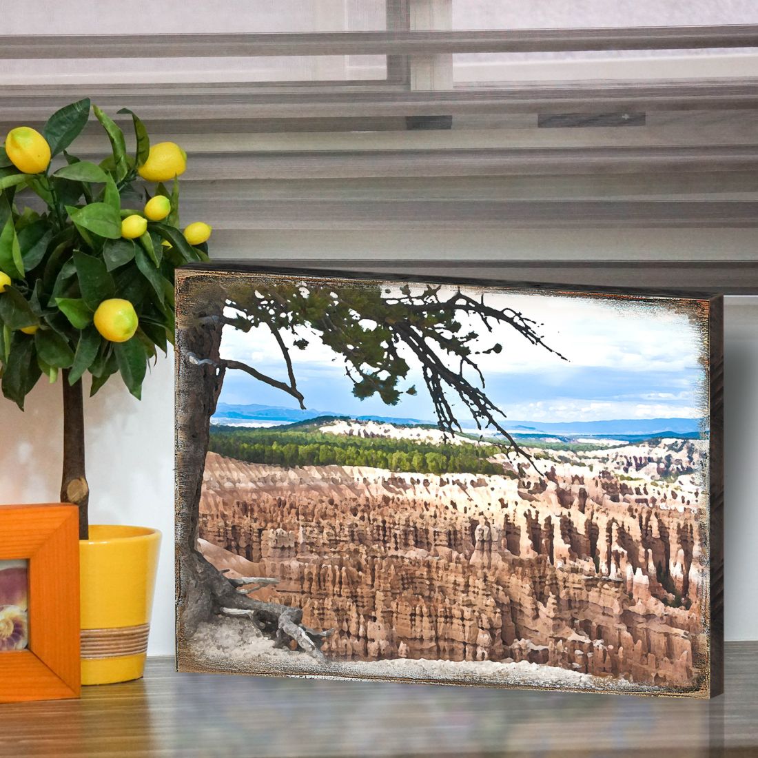 Canyon Tree View Art Wooden Wall Art by Nature Wonders - Nature Wildlife Decor - 95281B