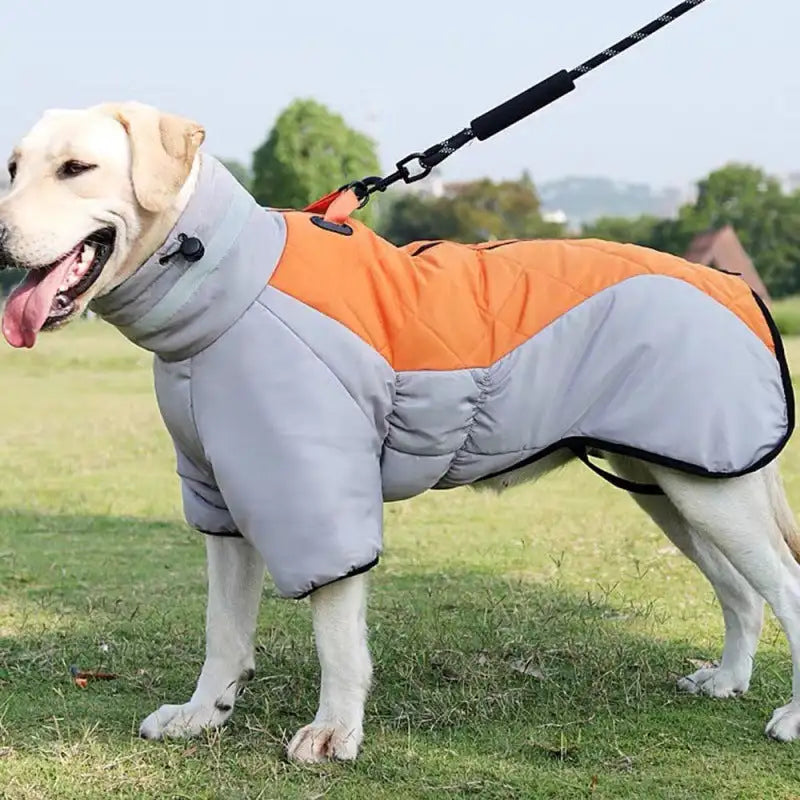 New Winter Dog Coat Waterproof Pet Clothes For Medum Large Dogs Warm Thicken Dog Vest Custome Labrador Jacket - Lootquake