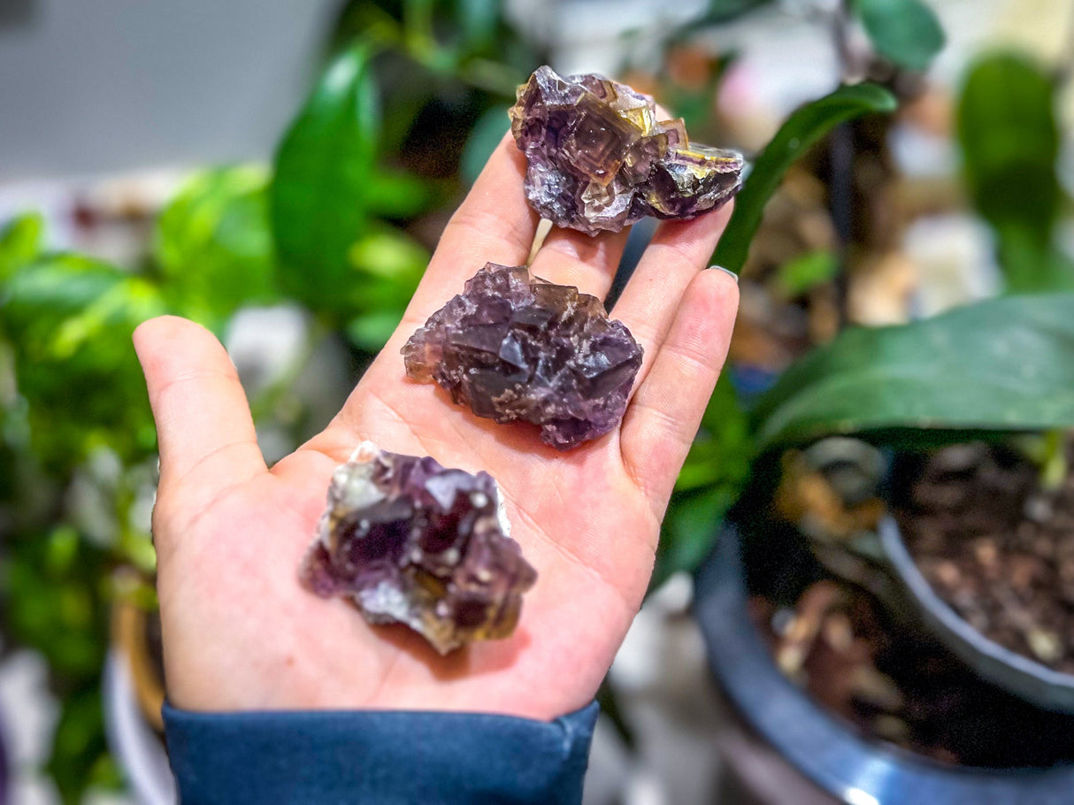 ANHUI Yellow Fluorite with Thousand Layer Purple Phantoms, RARE Minerals