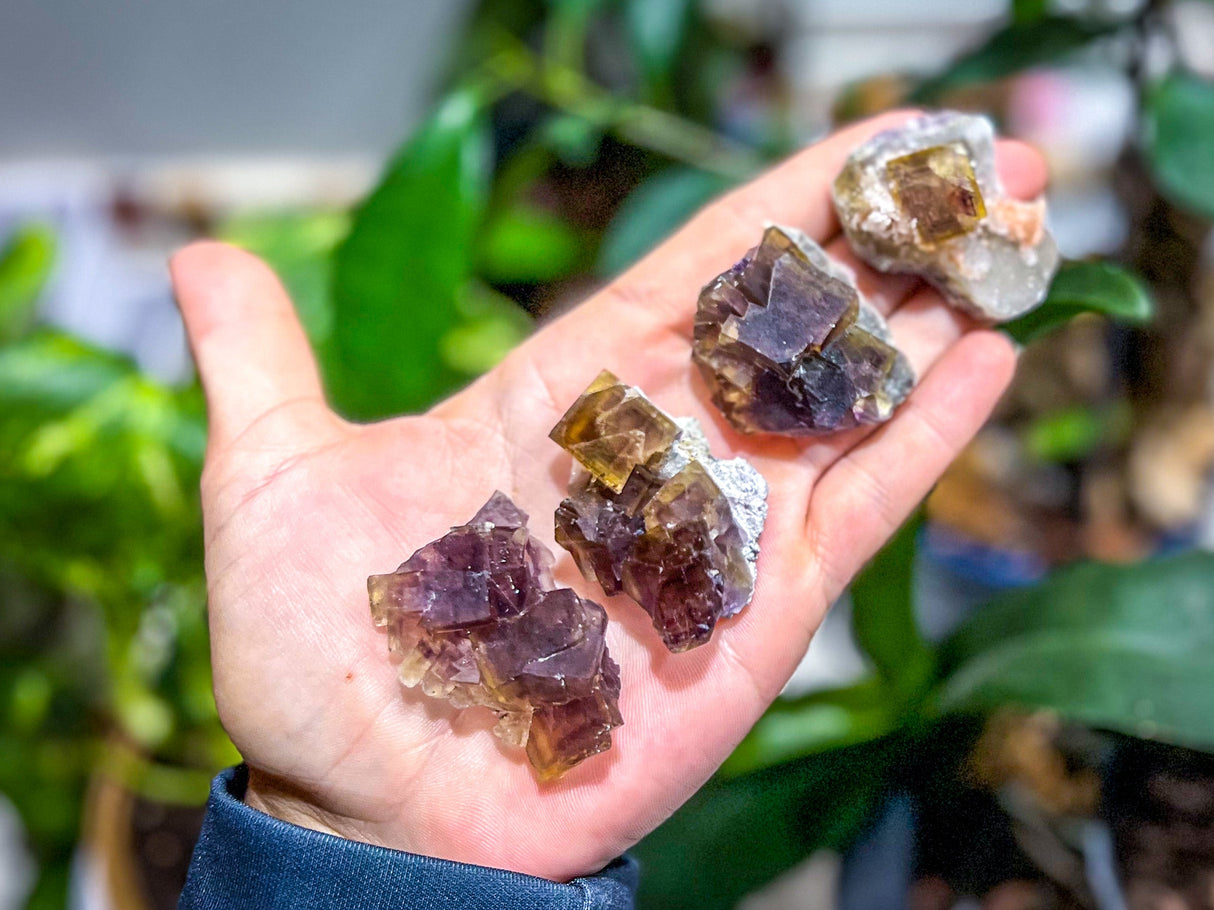 ANHUI Yellow Fluorite with Thousand Layer Purple Phantoms, RARE Minerals