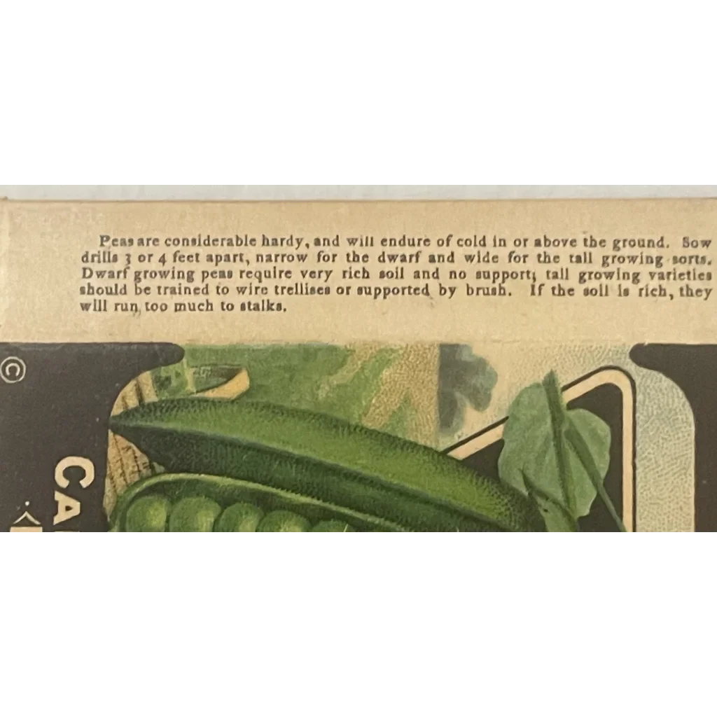 Rare Antique Vintage Pea Box from Card Seed Company Discovered