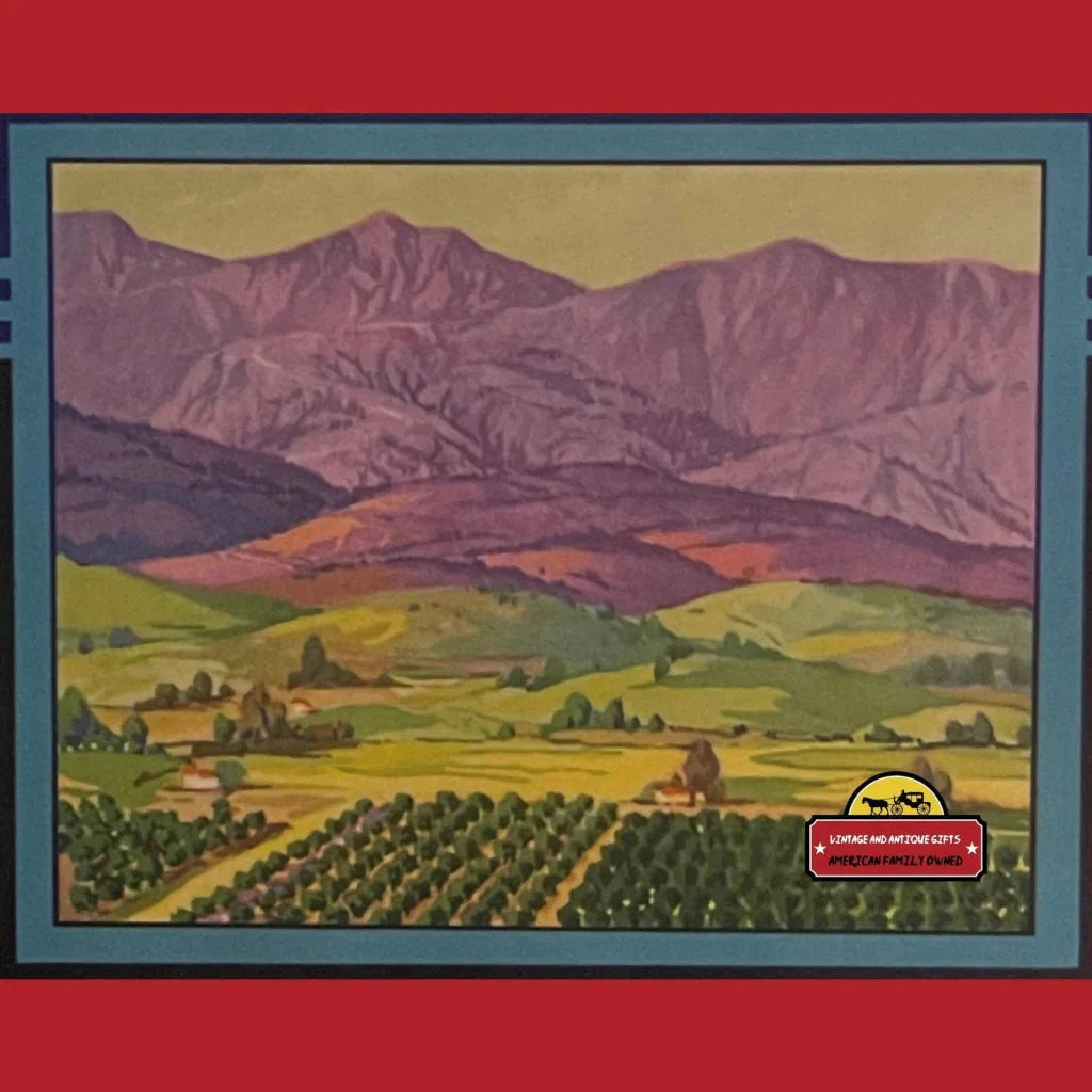 Rare Antique San Marcos Sunkist Crate Label Brings 1930s Charm