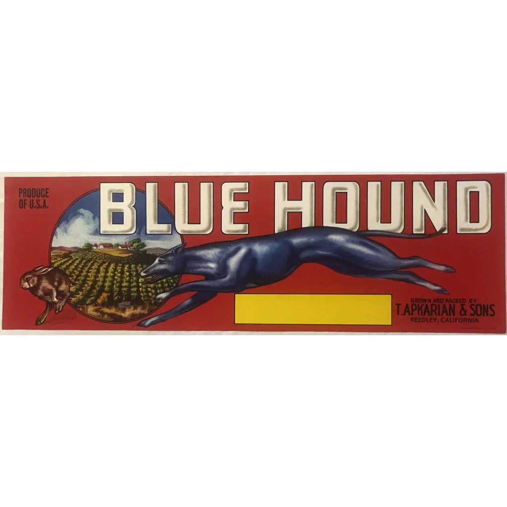 Antique Vintage 1950s Blue Hound Crate Label from Reedley CA