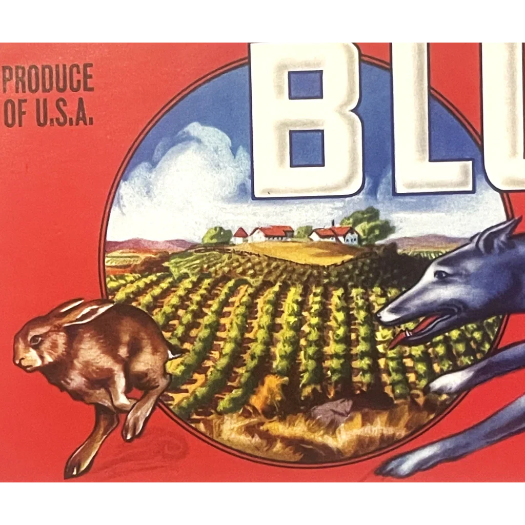 Antique Vintage 1950s Blue Hound Crate Label from Reedley CA