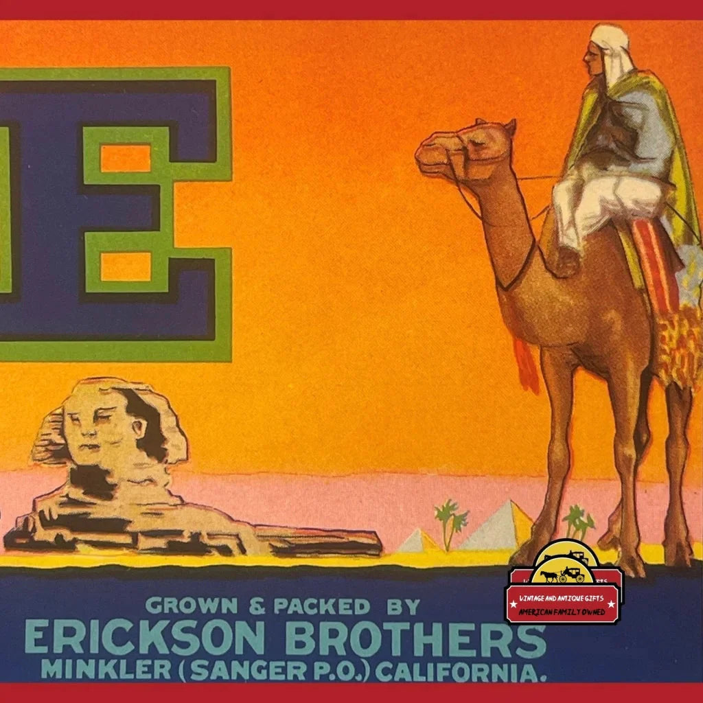 Rare 1950s Nile Crate Label Brings Egyptian Flair to Your Home