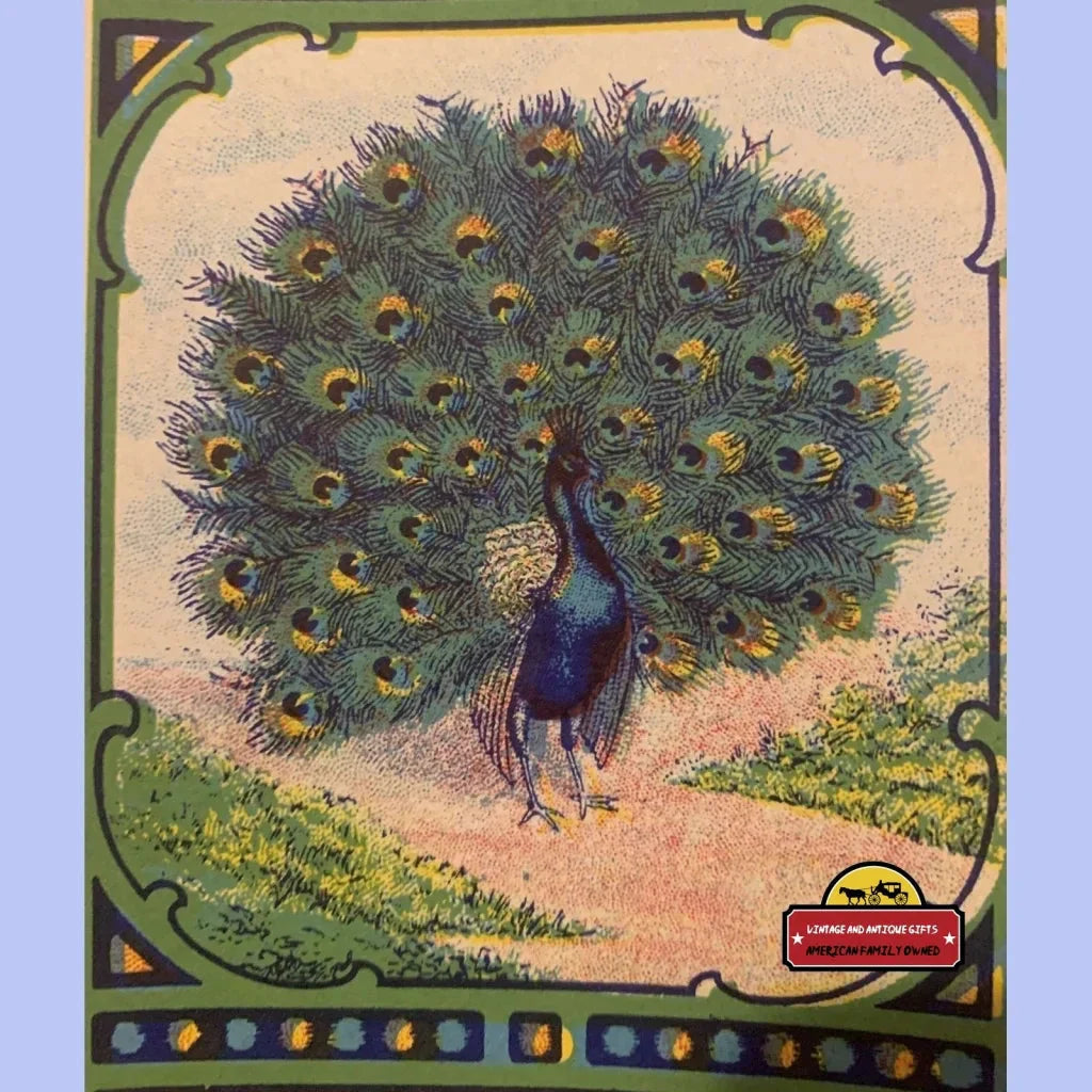 Rare Antique Peacock Broom Label from Mercer Broom Co Inc