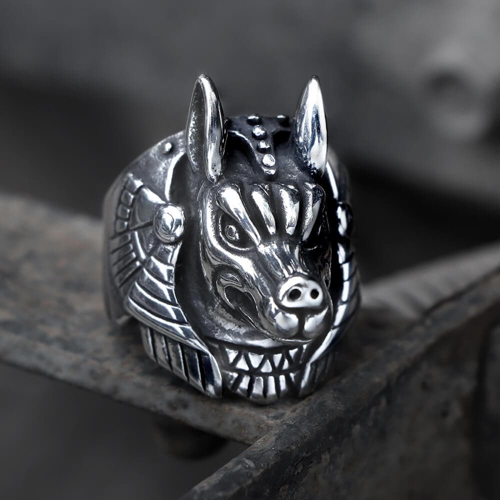 Anillo de acero inoxidable con el dios egipcio de la muerte, Anubis