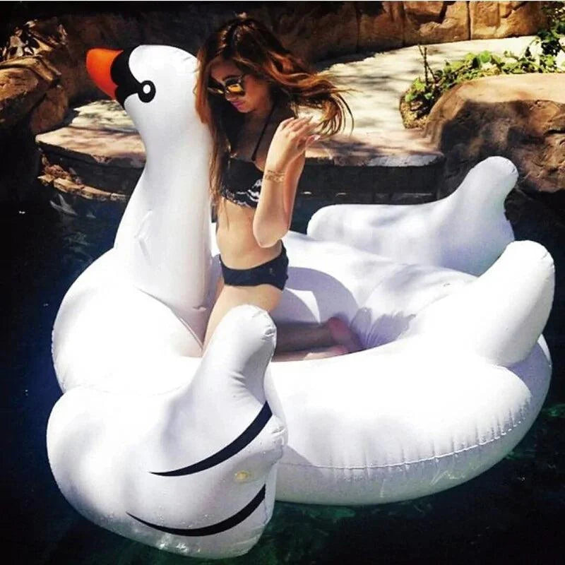 Aqua Oasis Pool Float