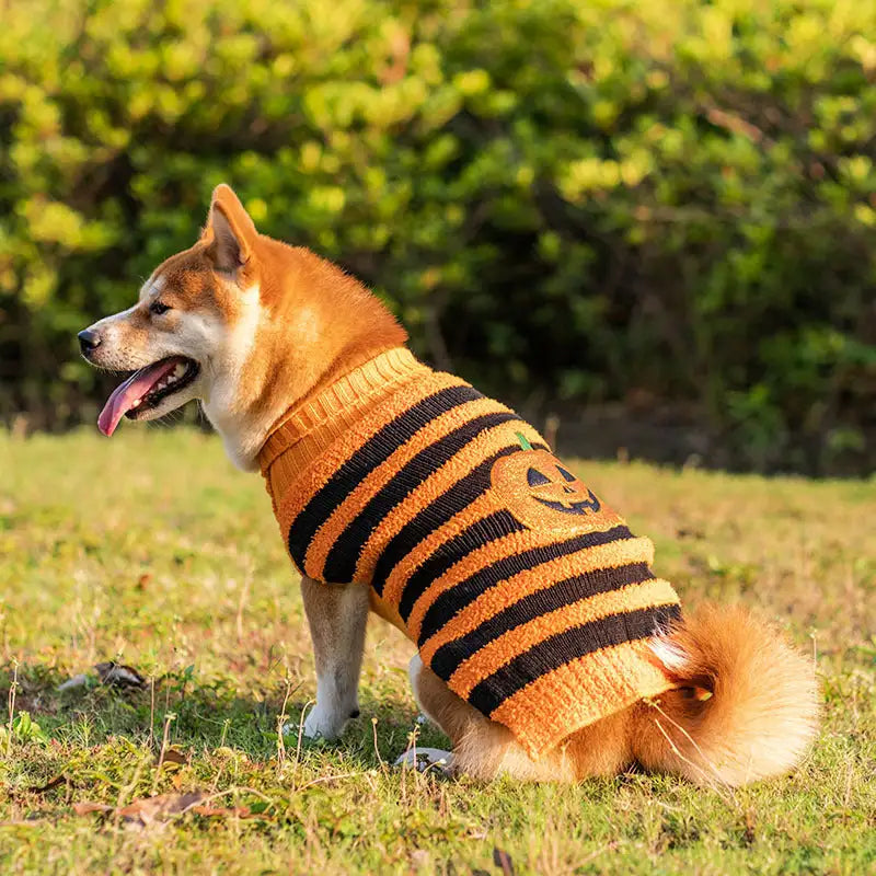 Halloween Dog Sweaters Pet Costume Teddy Warm Leisure Sweater Cosplay Clothes For Dogs Pets Outfits - Lootquake