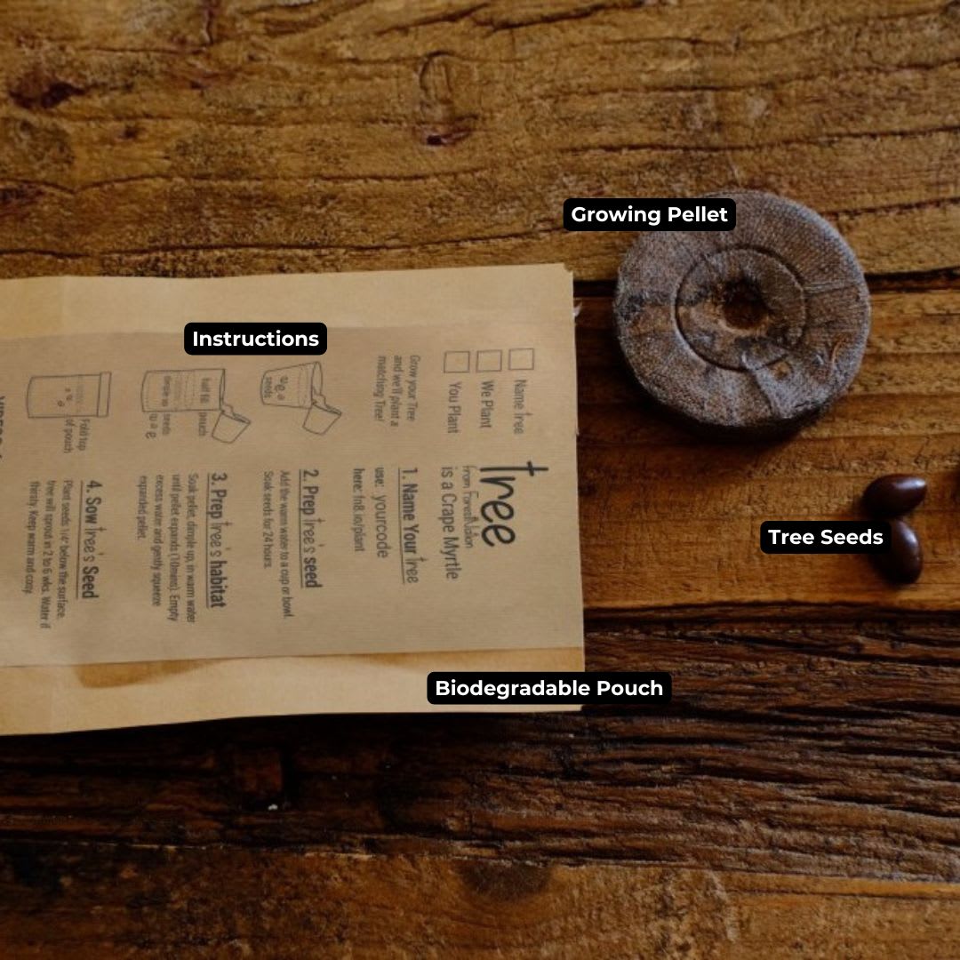 Tree Pouch Custom Branding-2