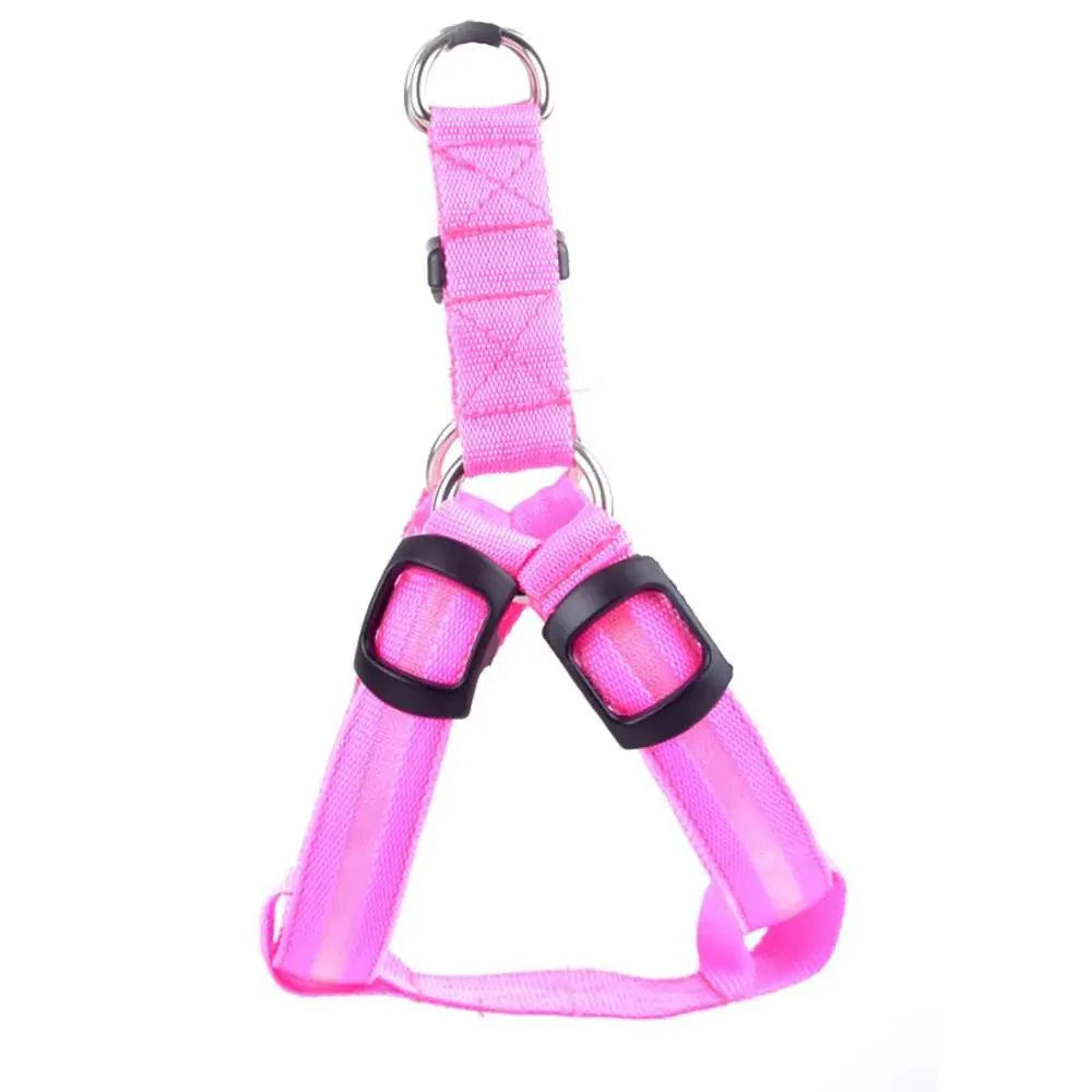 Bright Night Pet LED Harness