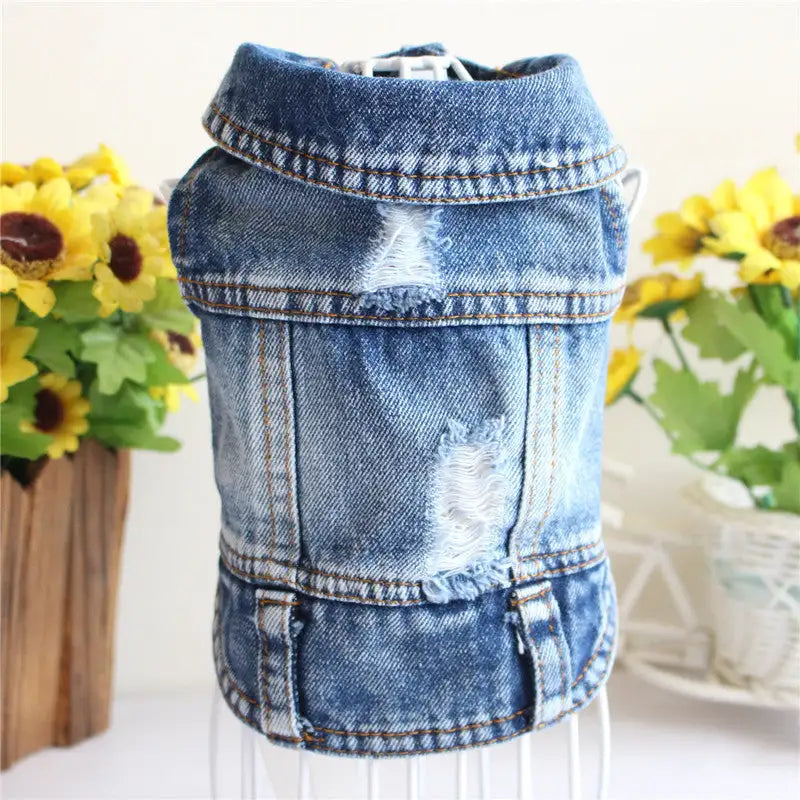 Designer Dog Clothes Small Dog Denim Jacket Coat Cat Costume Puppy Jeans Vest Spring Clothing - Lootquake