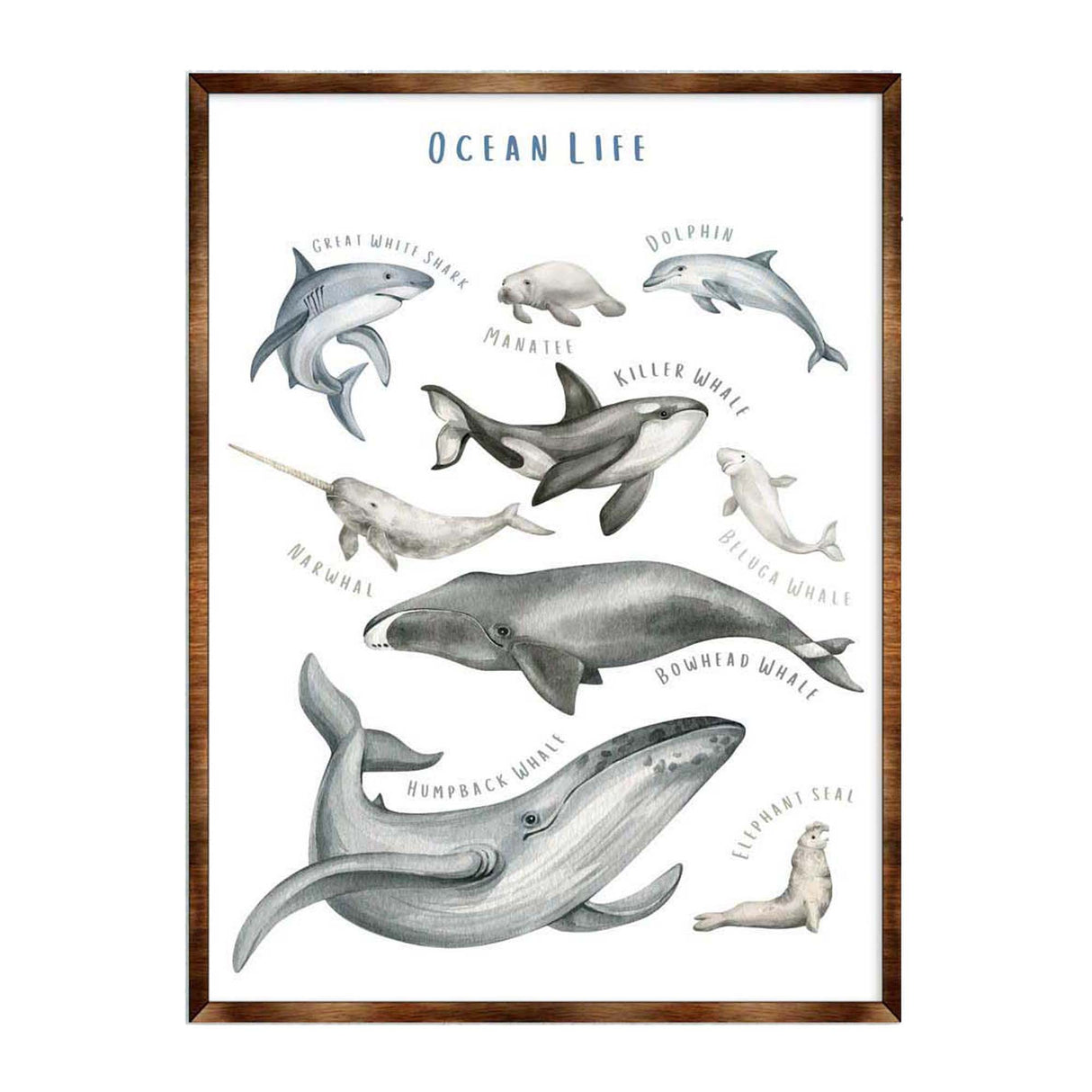 Ocean Animals Wooden Kids Room Décor - First day of school gift - Homeschool I Montessori wooden Educational Poster - Classroom Décor - Playroom Art - 310216
